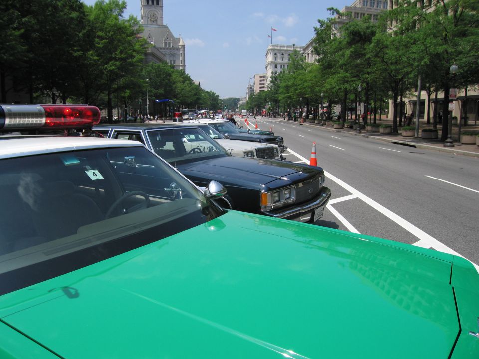 Row of parked police cars with red beacons and a green hood in front