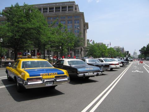 1991 Ford Crown Victoria - Several police cars are parked in a row on a city street, with a building and trees in the background.