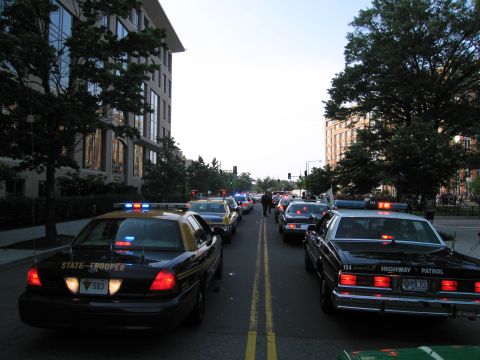 1991 Ford Crown Victoria - Multiple police vehicles are lined up on a street, with buildings and trees visible in the background.