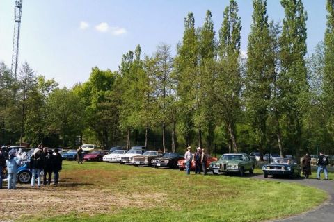 1991 Ford LTD Crown Victoria - A gathering of vintage automobiles is displayed in a scenic outdoor setting, with attendees mingling amongst the vehicles.