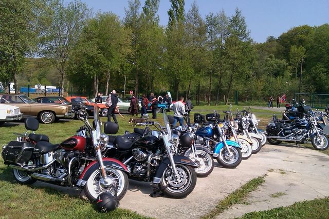 Several parked motorcycles lined up on pavement with cars and trees in the background