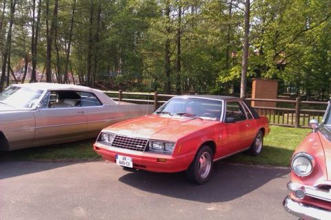 1991 Ford LTD Crown Victoria - A red coupe with a black roof is parked in a lot with other vehicles and trees in the background.