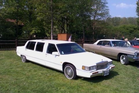 1991 Ford LTD Crown Victoria - A white limousine is parked on a grassy field next to another classic car, with trees in the background.