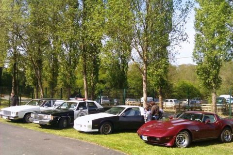 1991 Ford LTD Crown Victoria - A collection of vehicles, including a police car and sports cars, are parked on a grassy area near trees.
