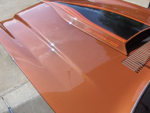 1980 Chevrolet Camaro - Close-up of a 1980 Chevrolet Camaro hood racing stripes and louvers.