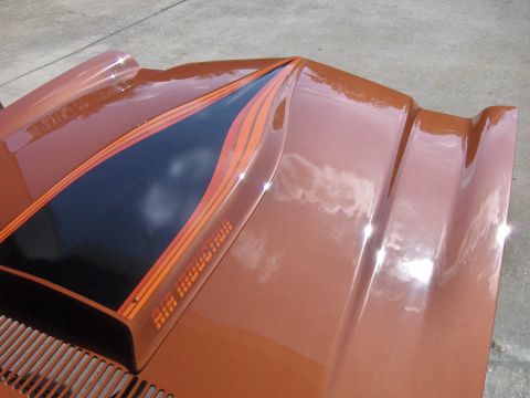1980 Chevrolet Camaro - A close-up of a car hood shows "AIR INDUCTION" graphics with orange and black stripes.