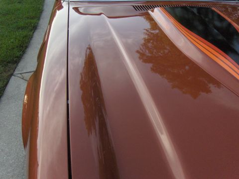 1980 Chevrolet Camaro - The hood of a brown 1980 Chevrolet Camaro features prominent orange and black racing stripes.