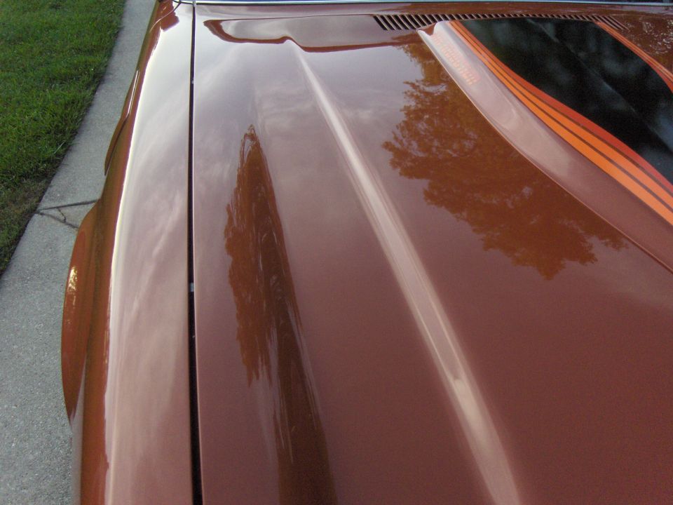 Brown 1980 Chevrolet Camaro hood with racing stripes