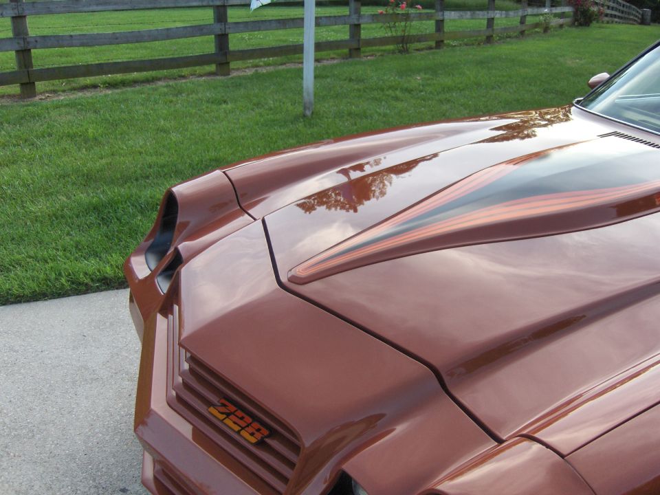 1980 Chevrolet Camaro “jeff's car”