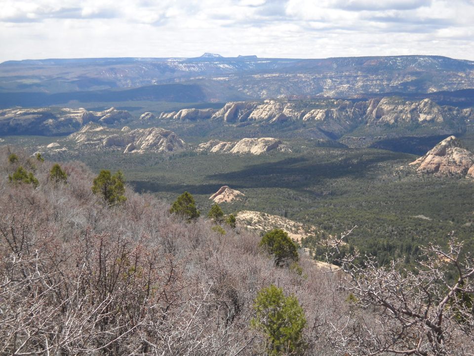 Overlook of a vast canyon landscape with layered rock formations and dense green forest under a cloudy sky