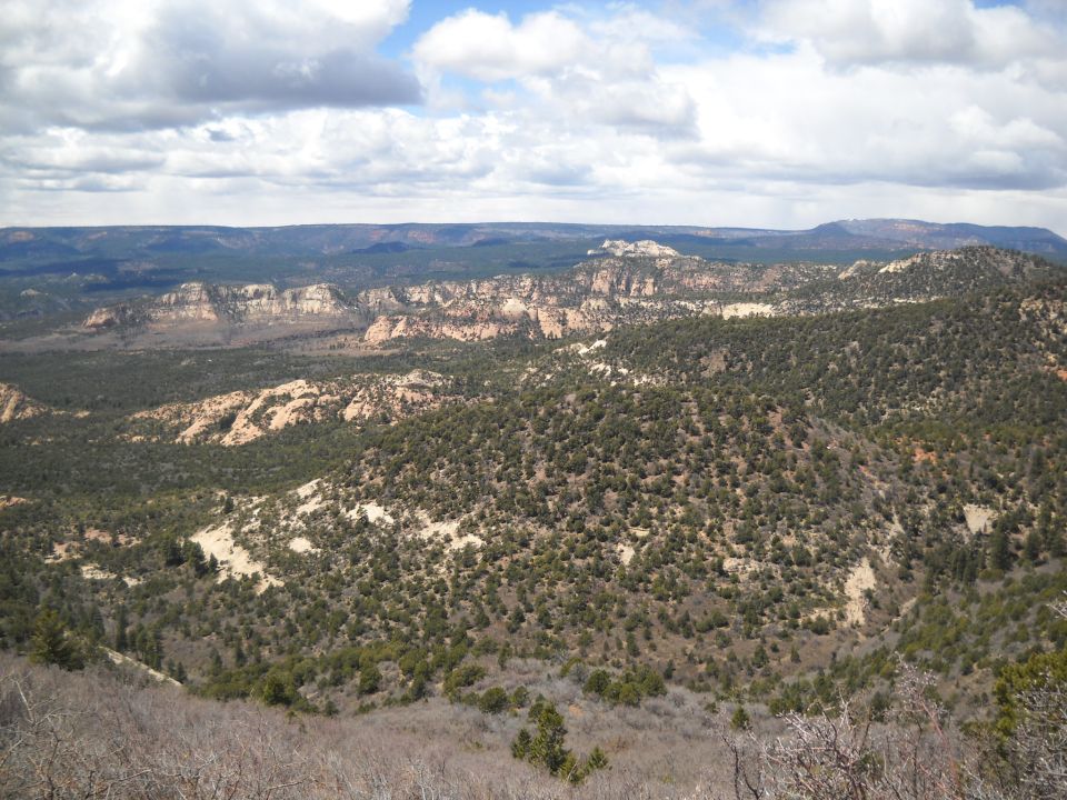 Scenic landscape with mesas and trees under a cloudy sky