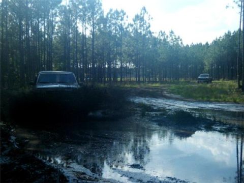 1994 Ford Bronco - SUVs navigate a muddy track surrounded by dense pine forest.