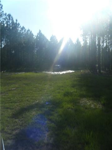 1994 Ford Bronco - A vehicle is seen in a muddy clearing with trees in the background under bright sunlight.