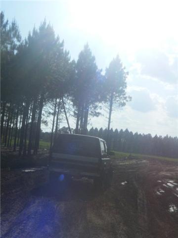 1994 Ford Bronco - A dark SUV is stuck in a muddy area with trees in the background and puddles of water.