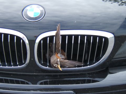 2002 BMW M3 photo