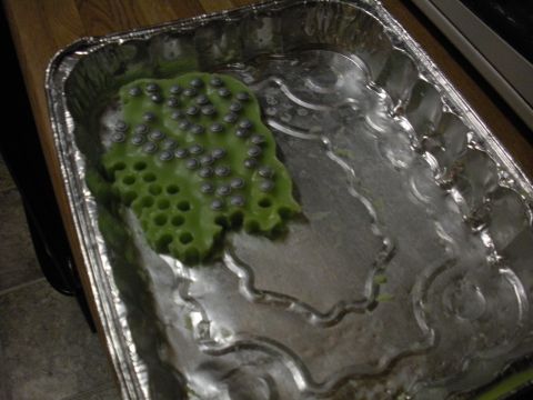 1996 Ford Bronco - Green object with metal studs in a foil pan.