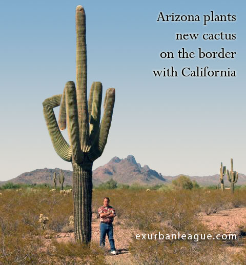 1990 Ford Bronco - A man poses next to a giant saguaro cactus in the Arizona desert landscape.