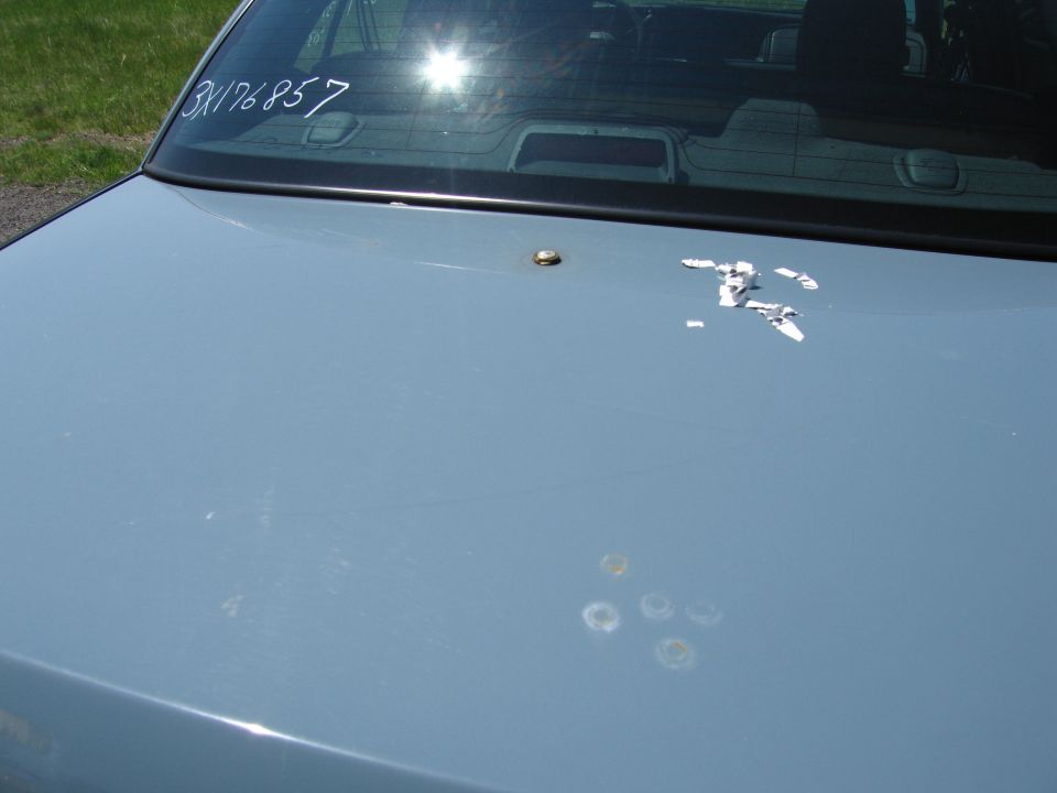car trunk with white writing 3X176857 on rear window, some white debris, and circular marks