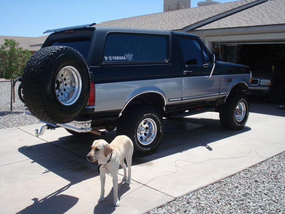 1994 Ford Bronco rear 3/4 view, black and silver two-tone paint, spare tire on back, yellow lab in front