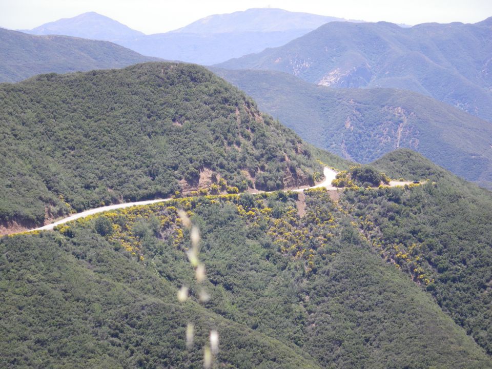 Winding road through green, hilly terrain with distant mountains