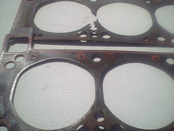 Head gasket with two large cylinder openings