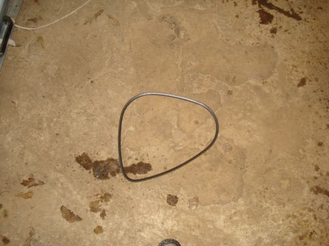 1985 Ford F-150 - A single engine belt rests on a concrete surface with oil stains.