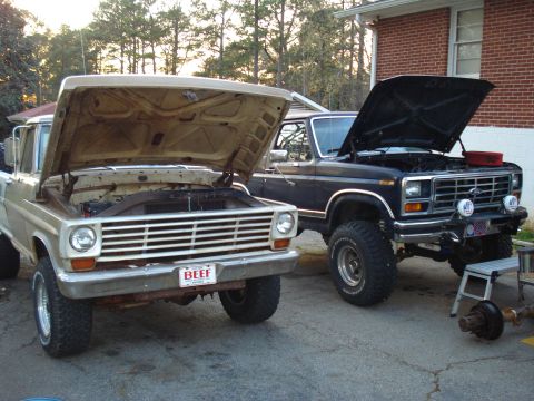 1967 Ford F-250 - Two Ford trucks are parked outside a brick building with their hoods open, revealing their engines.