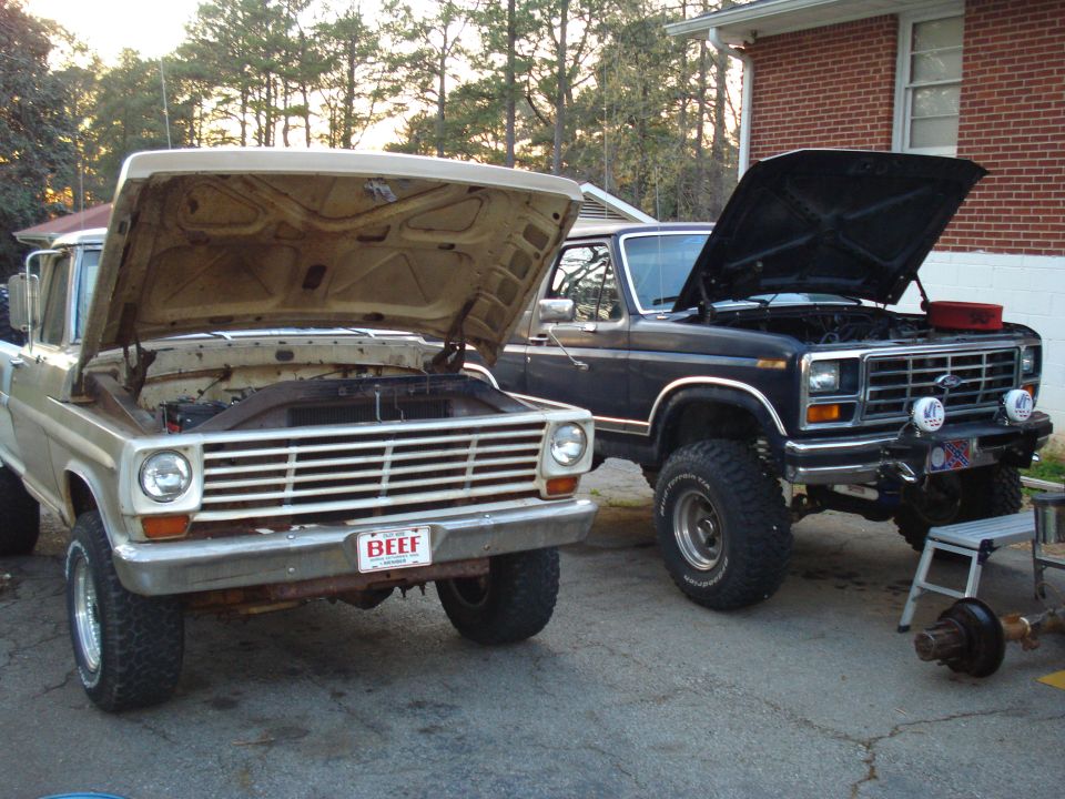 Two Ford trucks, one tan and one dark blue, with hoods open. The tan truck has a license plate that says "BEEF"