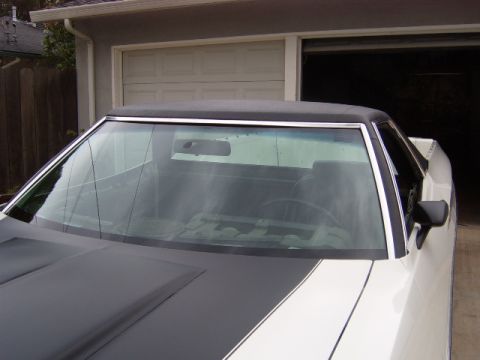 1973 Ford Ranchero - A white 1972 Ford Ranchero with black racing stripes on the hood is parked in front of a garage door.