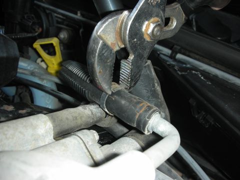 2004 Ford Crown Victoria - Close-up of pliers working on a hose clamp in an engine bay.