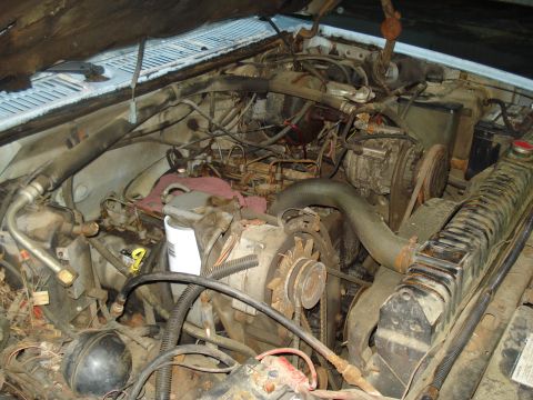 1967 Ford F-250 - Close-up view of a cluttered engine bay with many hoses and mechanical parts visible.