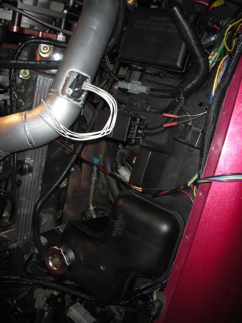 1992 Ford Crown Victoria - Custom intercooler piping and wiring are visible in this engine bay shot.