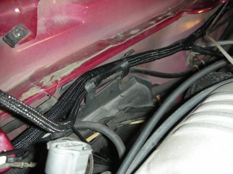 1992 Ford Crown Victoria - Close-up view of the engine bay wiring harness and associated components.