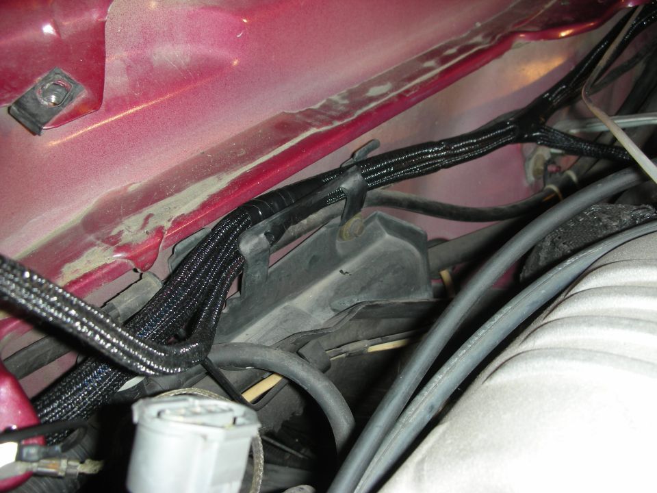 Red engine bay with black braided wiring harness secured by zip ties and clips