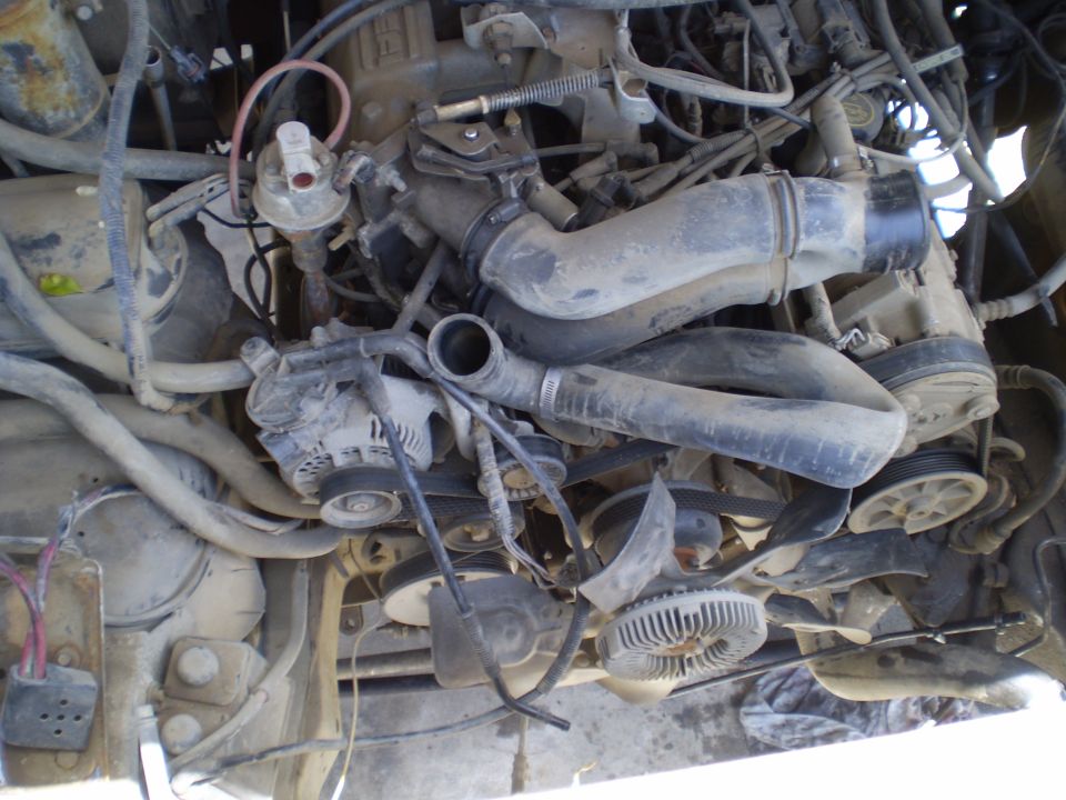 Engine bay showing fan, alternator, hoses, and belts