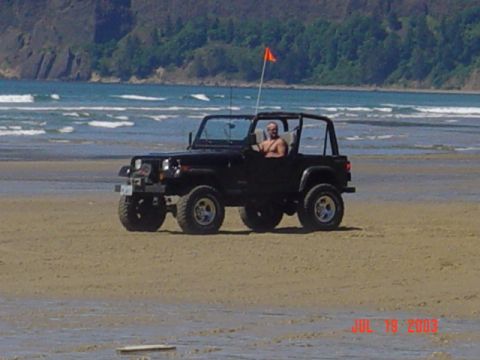 1995 Jeep Wrangler “Black Dragon”