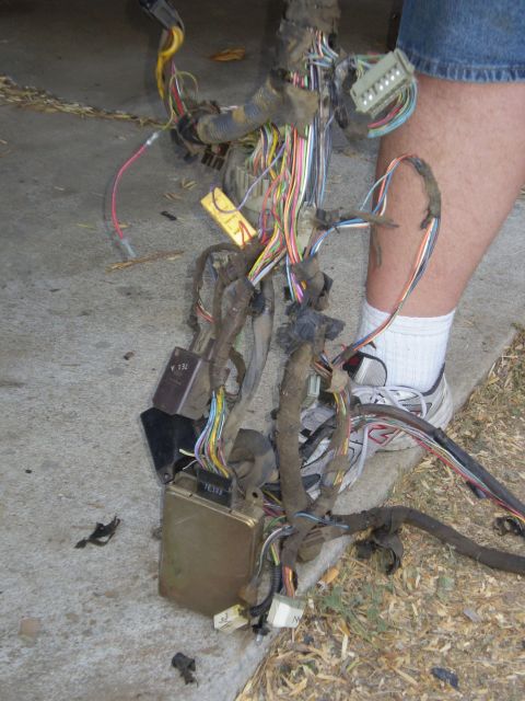 1969 Ford F-250 - Vehicle wiring harness with various connectors and modules laid out on concrete. A person's leg is visible.