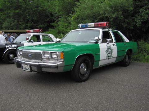 1991 Ford LTD Crown Victoria - green-and-white Ford full-size Sheriff cruiser with a star door badge and red dome light, parked at a show.