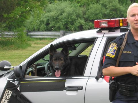 1991 Ford LTD Crown Victoria - German Shepherd K9 sits in the open window of a silver police cruiser as a blonde officer named Taylor stands beside it.