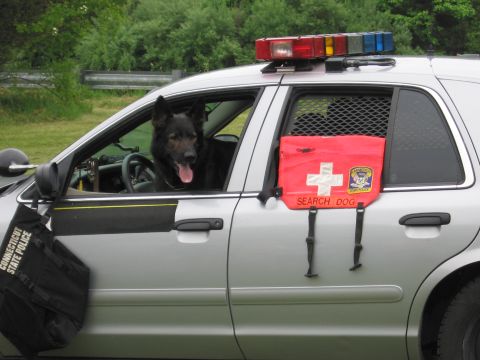 1991 Ford LTD Crown Victoria - German Shepherd K9 leans out of a silver Connecticut State Police cruiser window beside a red Search Dog pouch.