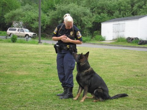 1991 Ford LTD Crown Victoria - blonde officer gestures over an attentive seated German Shepherd K9 during a demonstration on a grass field.