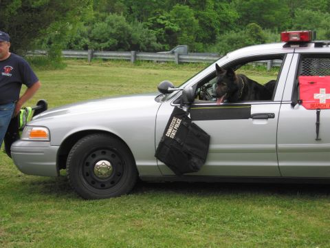 1991 Ford LTD Crown Victoria - dark police K-9 dog leans out the front window of a silver cruiser fitted with a search-team gear bag on the door, a man standing at left.