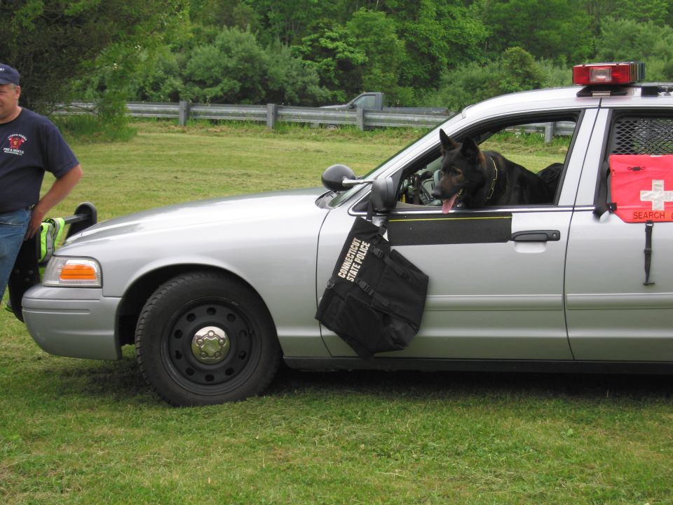 Dark K-9 dog leaning out window of silver police cruiser with gear bag on door