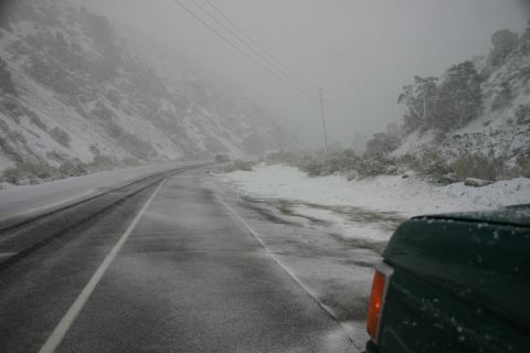 1991 Ford Bronco - A green SUV is seen from the rear, driving on a wet, snowy mountain road with low visibility.
