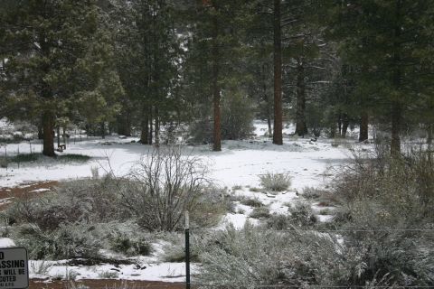 1991 Ford Bronco - A winter scene with snow covering the ground and trees, a 'No Passing' sign.