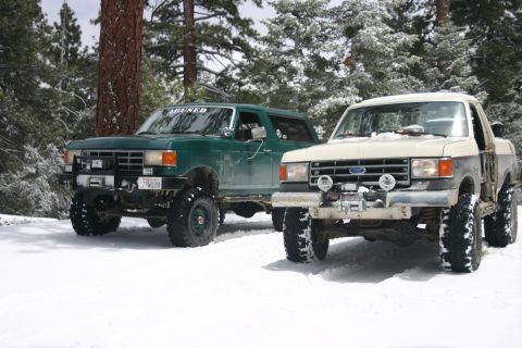 1991 Ford Bronco - Two Ford trucks, a Bronco and an F-Series, parked in a snowy forest.