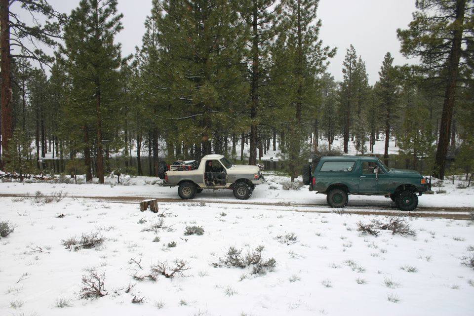 Green SUV and a white pickup truck in a snowy forest