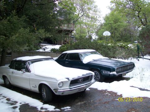 1972 Ford Ranchero - Two vintage cars sit parked outside with a light dusting of snow on them.