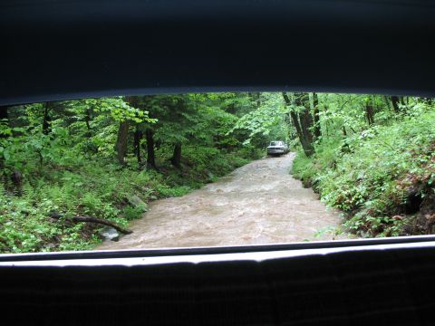 1985 Ford Bronco - A vehicle navigates a muddy, flooded path surrounded by dense green trees.