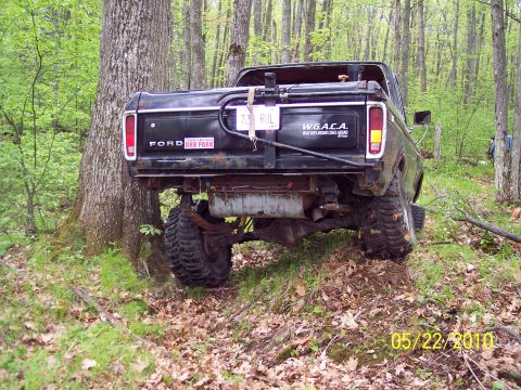 1979 Ford Bronco - A black Ford pickup truck is stuck in the woods, with its rear end angled against a large tree.